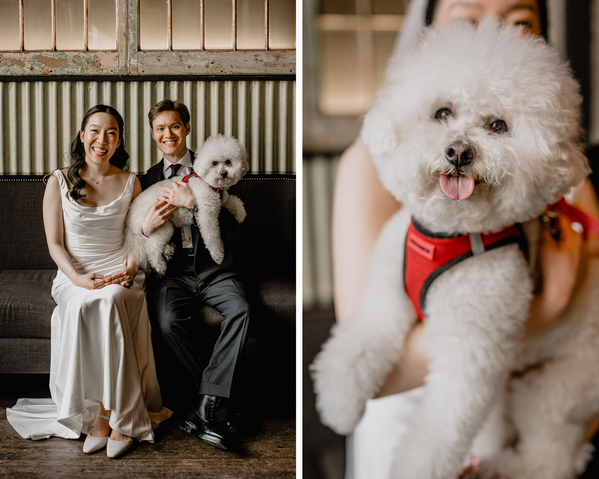 Couple with their fur baby before their Wedding at Blackbarn.